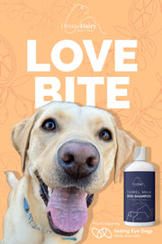 Love Bite Dog Shampoo